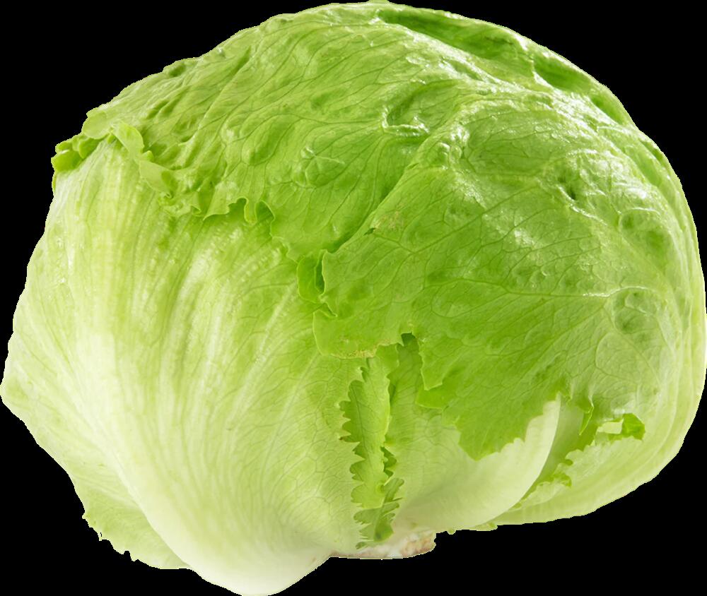 Lettuce